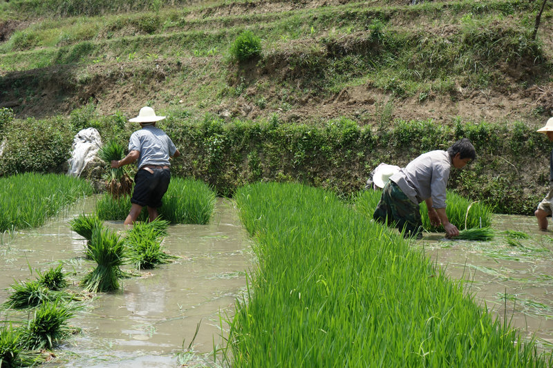 圖片其版權均歸原作者所有，未經(jīng)許可嚴禁轉載或建立鏡像，如需轉載，請與作者或本站聯(lián)系