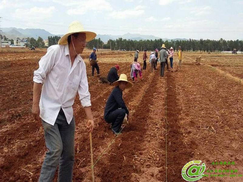 圖片其版權(quán)均歸原作者所有，未經(jīng)許可嚴(yán)禁轉(zhuǎn)載或建立鏡像，如需轉(zhuǎn)載，請(qǐng)與作者或本站聯(lián)系