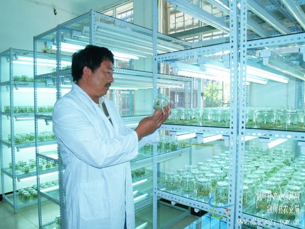 圖片其版權(quán)均歸原作者所有，未經(jīng)許可嚴(yán)禁轉(zhuǎn)載或建立鏡像，如需轉(zhuǎn)載，請(qǐng)與作者或本站聯(lián)系