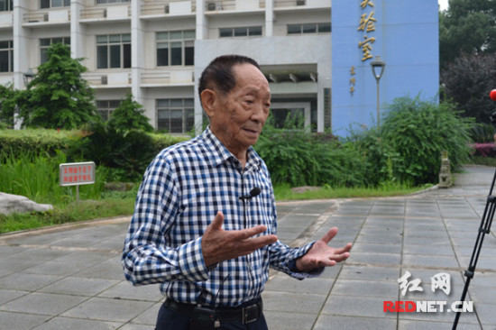 袁隆平：以世博會為契機撬動雜交稻種子出口