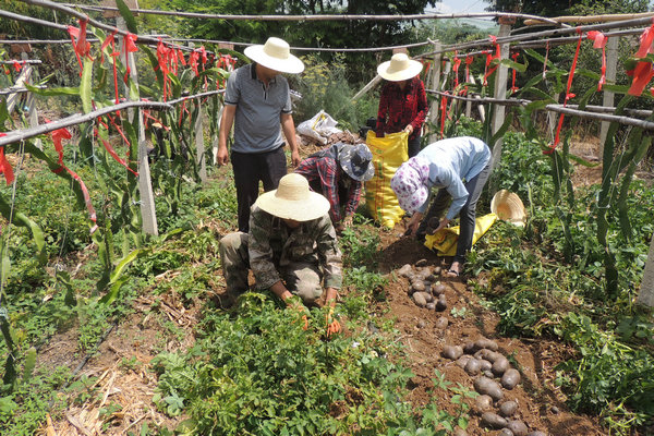 圖片其版權(quán)均歸原作者所有，未經(jīng)許可嚴(yán)禁轉(zhuǎn)載或建立鏡像，如需轉(zhuǎn)載，請(qǐng)與作者或本站聯(lián)系