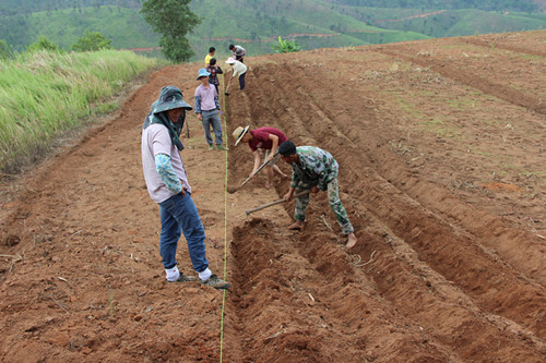 圖片其版權(quán)均歸原作者所有，未經(jīng)許可嚴(yán)禁轉(zhuǎn)載或建立鏡像，如需轉(zhuǎn)載，請與作者或本站聯(lián)系