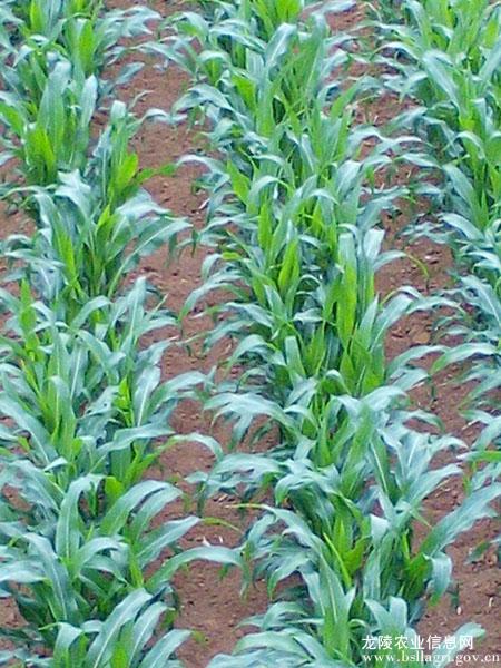 圖片其版權(quán)均歸原作者所有，未經(jīng)許可嚴(yán)禁轉(zhuǎn)載或建立鏡像，如需轉(zhuǎn)載，請(qǐng)與作者或本站聯(lián)系