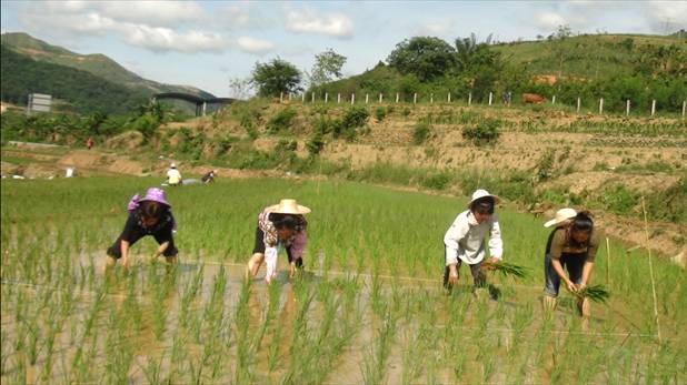 圖片其版權(quán)均歸原作者所有，未經(jīng)許可嚴(yán)禁轉(zhuǎn)載或建立鏡像，如需轉(zhuǎn)載，請(qǐng)與作者或本站聯(lián)系