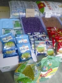 市場上售賣的種子琳瑯滿目。