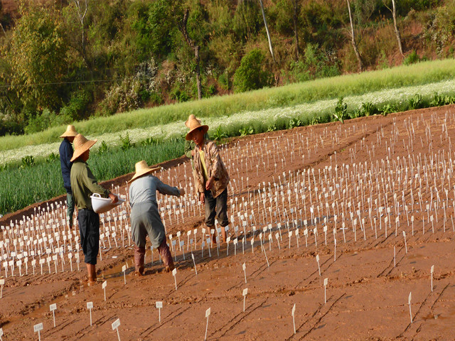 圖片其版權(quán)均歸原作者所有，未經(jīng)許可嚴禁轉(zhuǎn)載或建立鏡像，如需轉(zhuǎn)載，請與作者或本站聯(lián)系