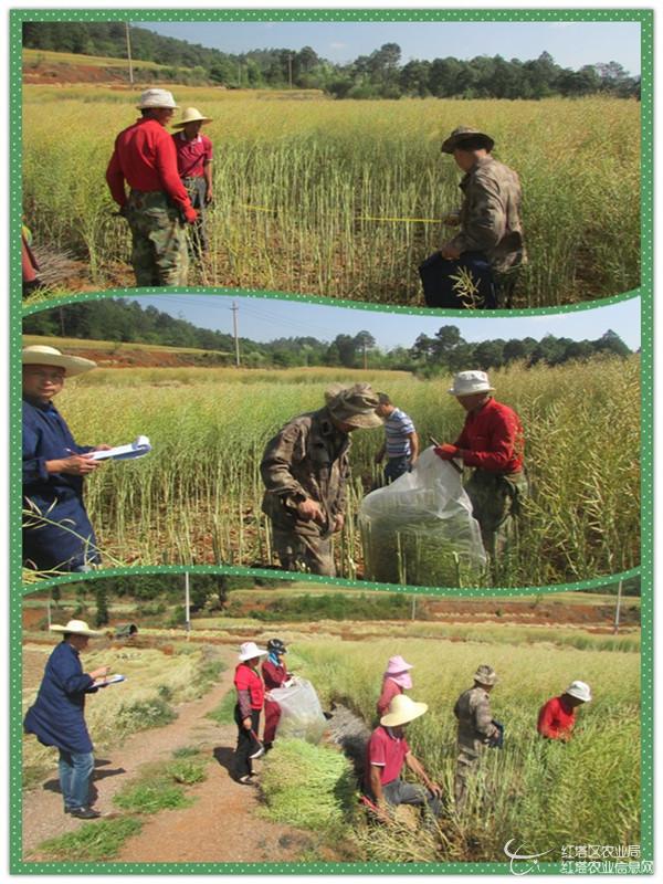 圖片其版權(quán)均歸原作者所有，未經(jīng)許可嚴(yán)禁轉(zhuǎn)載或建立鏡像，如需轉(zhuǎn)載，請與作者或本站聯(lián)系