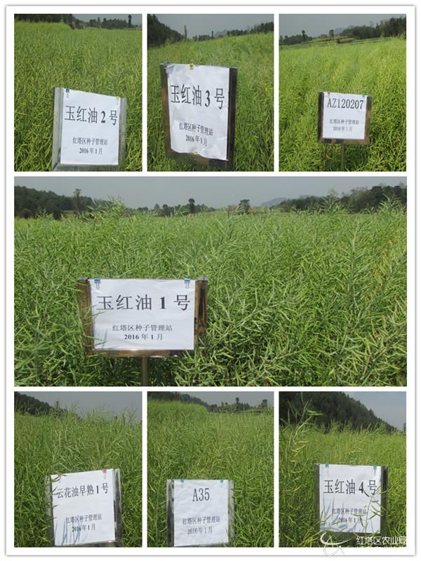 圖片其版權(quán)均歸原作者所有，未經(jīng)許可嚴(yán)禁轉(zhuǎn)載或建立鏡像，如需轉(zhuǎn)載，請(qǐng)與作者或本站聯(lián)系