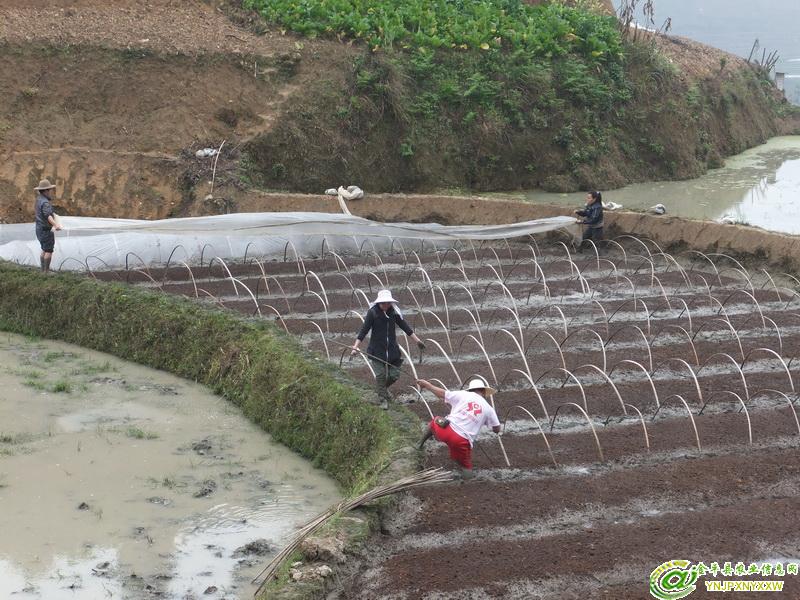 圖片其版權(quán)均歸原作者所有，未經(jīng)許可嚴禁轉(zhuǎn)載或建立鏡像，如需轉(zhuǎn)載，請與作者或本站聯(lián)系