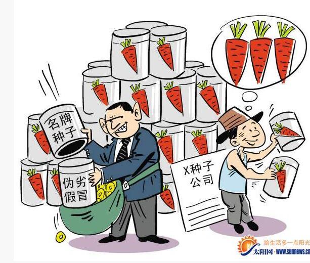 賣家出售冒牌胡蘿卜種子 侵犯知識產(chǎn)權(quán)被判刑