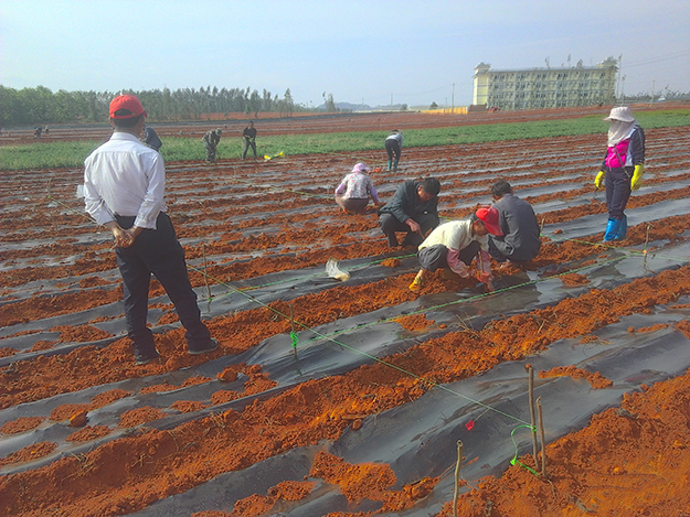 圖片其版權均歸原作者所有，未經(jīng)許可嚴禁轉載或建立鏡像，如需轉載，請與作者或本站聯(lián)系