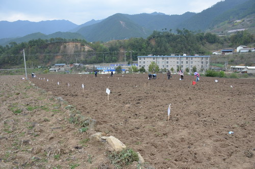 圖片其版權(quán)均歸原作者所有，未經(jīng)許可嚴(yán)禁轉(zhuǎn)載或建立鏡像，如需轉(zhuǎn)載，請(qǐng)與作者或本站聯(lián)系