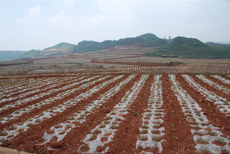 圖片其版權(quán)均歸原作者所有，未經(jīng)許可嚴(yán)禁轉(zhuǎn)載或建立鏡像，如需轉(zhuǎn)載，請與作者或本站聯(lián)系