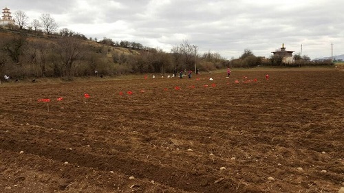 圖片其版權(quán)均歸原作者所有，未經(jīng)許可嚴(yán)禁轉(zhuǎn)載或建立鏡像，如需轉(zhuǎn)載，請(qǐng)與作者或本站聯(lián)系