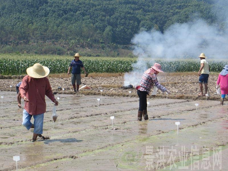 圖片其版權(quán)均歸原作者所有，未經(jīng)許可嚴(yán)禁轉(zhuǎn)載或建立鏡像，如需轉(zhuǎn)載，請與作者或本站聯(lián)系