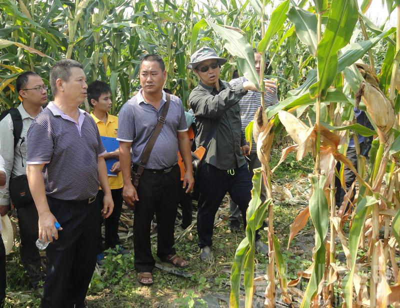 圖片其版權(quán)均歸原作者所有，未經(jīng)許可嚴(yán)禁轉(zhuǎn)載或建立鏡像，如需轉(zhuǎn)載，請(qǐng)與作者或本站聯(lián)系