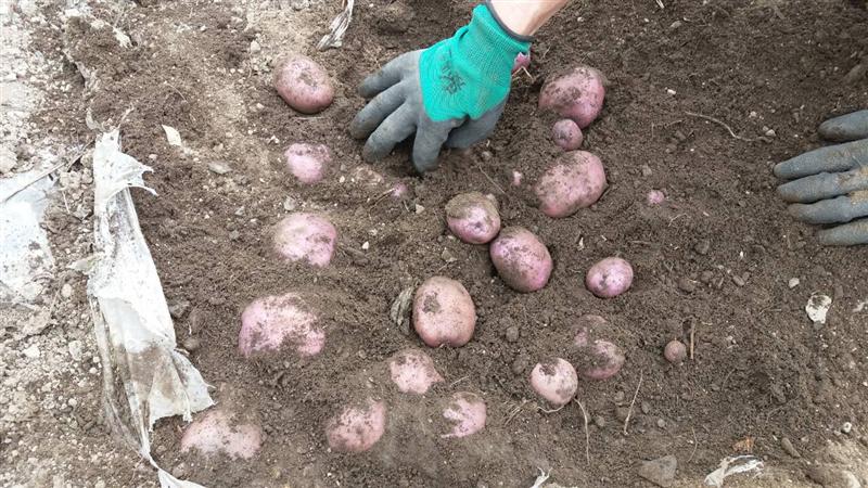 圖片其版權(quán)均歸原作者所有，未經(jīng)許可嚴(yán)禁轉(zhuǎn)載或建立鏡像，如需轉(zhuǎn)載，請(qǐng)與作者或本站聯(lián)系