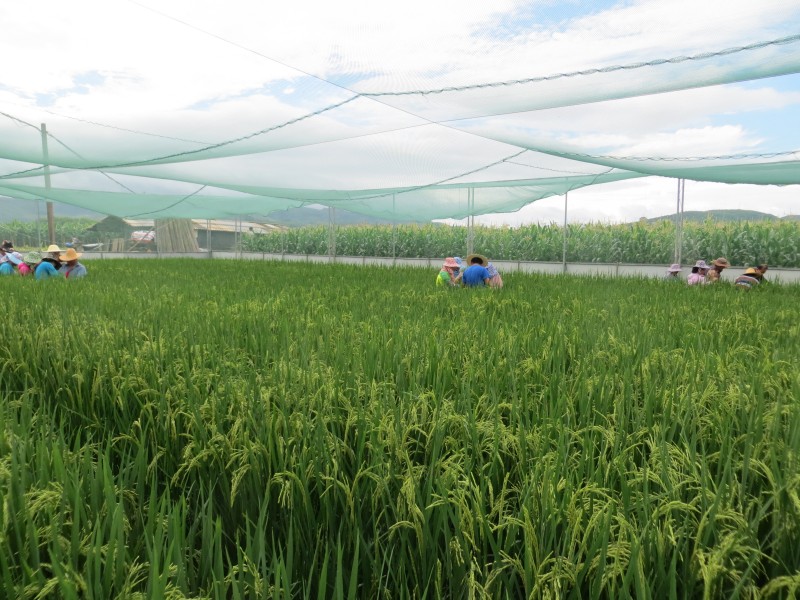 圖片其版權(quán)均歸原作者所有，未經(jīng)許可嚴禁轉(zhuǎn)載或建立鏡像，如需轉(zhuǎn)載，請與作者或本站聯(lián)系