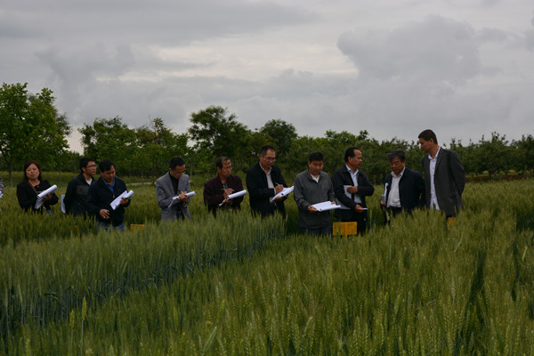 專家仔細進行調(diào)查記載