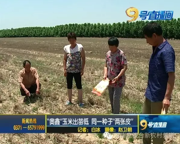 玉米種子出苗率低發(fā)芽難 同一種子竟兩個(gè)包裝
