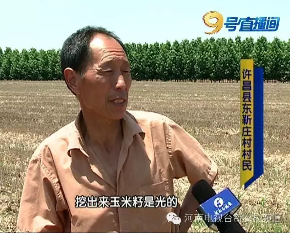 玉米種子出苗率低發(fā)芽難 同一種子竟兩個(gè)包裝