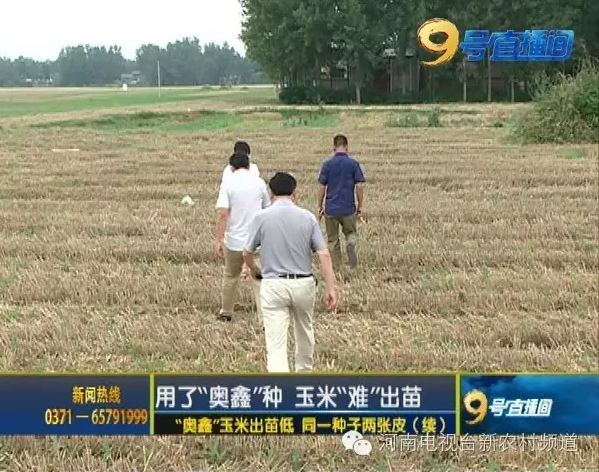 玉米種子出苗率低發(fā)芽難 同一種子竟兩個(gè)包裝