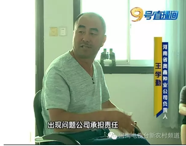 玉米種子出苗率低發(fā)芽難 同一種子竟兩個(gè)包裝