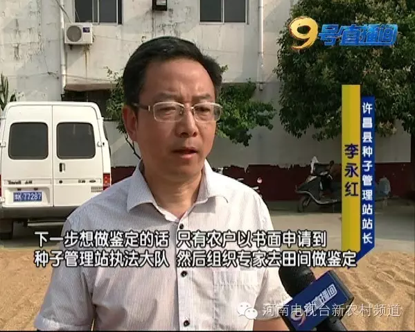 玉米種子出苗率低發(fā)芽難 同一種子竟兩個(gè)包裝