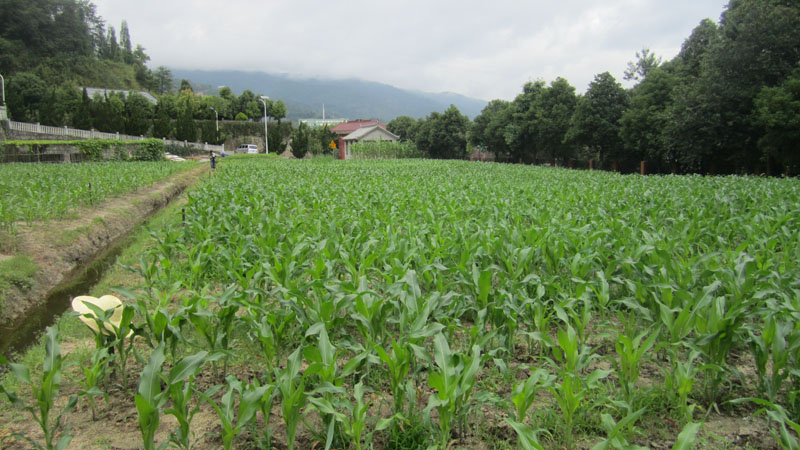 圖片其版權(quán)均歸原作者所有，未經(jīng)許可嚴(yán)禁轉(zhuǎn)載或建立鏡像，如需轉(zhuǎn)載，請(qǐng)與作者或本站聯(lián)系