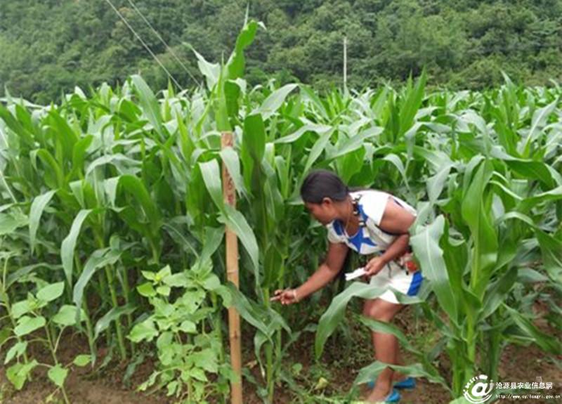 圖片其版權(quán)均歸原作者所有，未經(jīng)許可嚴(yán)禁轉(zhuǎn)載或建立鏡像，如需轉(zhuǎn)載，請與作者或本站聯(lián)系
