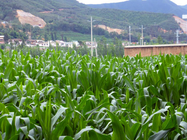 圖片其版權均歸原作者所有，未經(jīng)許可嚴禁轉(zhuǎn)載或建立鏡像，如需轉(zhuǎn)載，請與作者或本站聯(lián)系