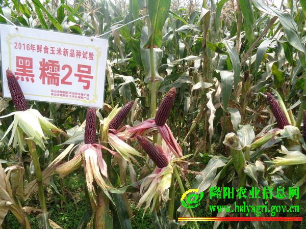 圖片其版權(quán)均歸原作者所有，未經(jīng)許可嚴(yán)禁轉(zhuǎn)載或建立鏡像，如需轉(zhuǎn)載，請與作者或本站聯(lián)系