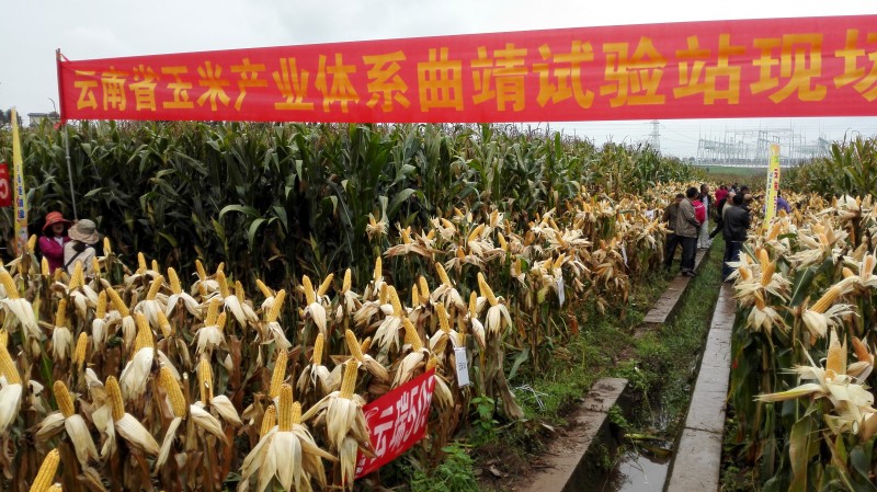 圖片其版權(quán)均歸原作者所有，未經(jīng)許可嚴(yán)禁轉(zhuǎn)載或建立鏡像，如需轉(zhuǎn)載，請與作者或本站聯(lián)系