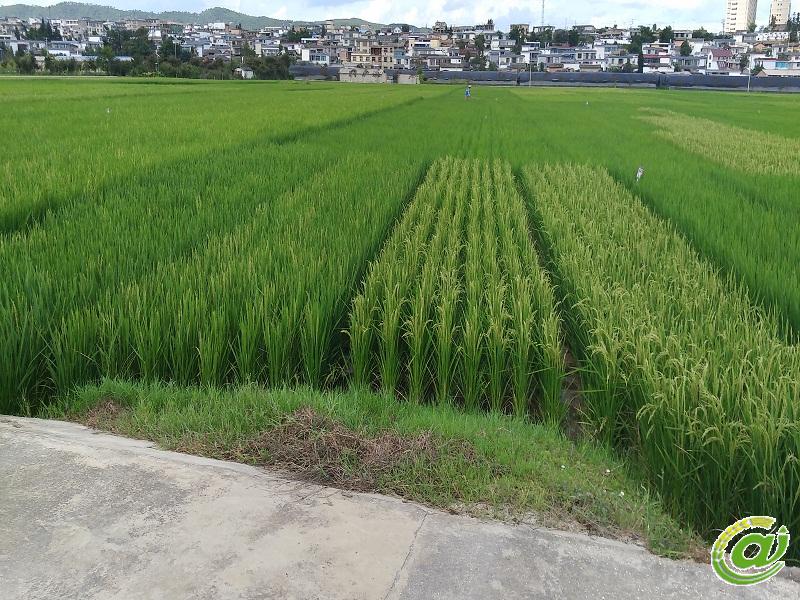 圖片其版權(quán)均歸原作者所有，未經(jīng)許可嚴(yán)禁轉(zhuǎn)載或建立鏡像，如需轉(zhuǎn)載，請與作者或本站聯(lián)系