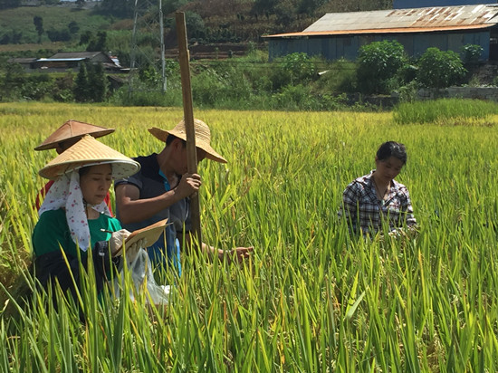 圖片其版權(quán)均歸原作者所有，未經(jīng)許可嚴(yán)禁轉(zhuǎn)載或建立鏡像，如需轉(zhuǎn)載，請(qǐng)與作者或本站聯(lián)系