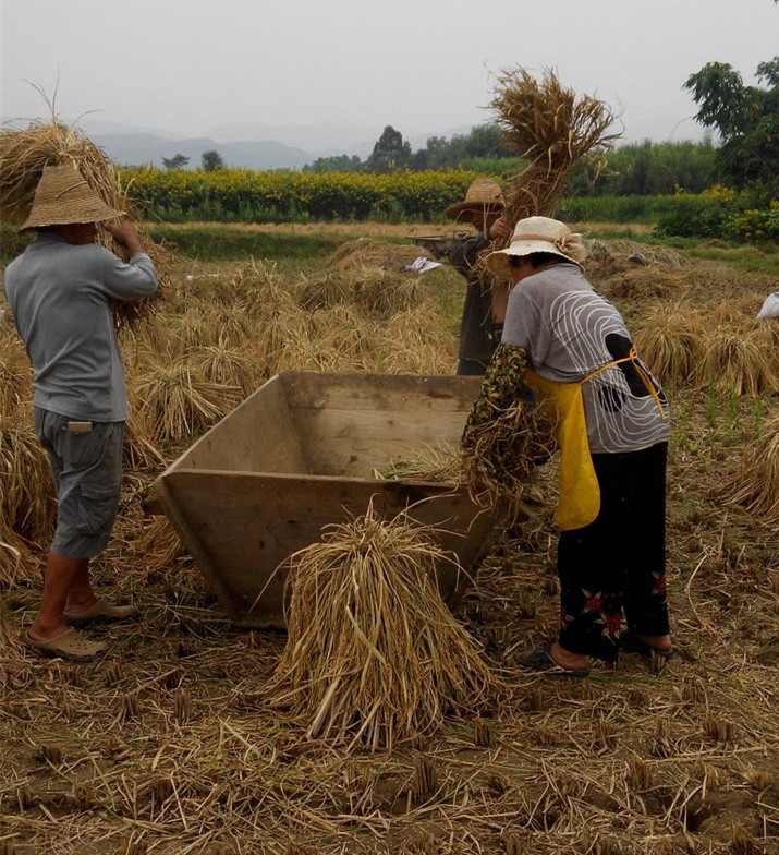圖片其版權(quán)均歸原作者所有，未經(jīng)許可嚴禁轉(zhuǎn)載或建立鏡像，如需轉(zhuǎn)載，請與作者或本站聯(lián)系
