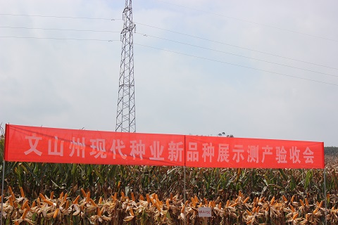 圖片其版權(quán)均歸原作者所有，未經(jīng)許可嚴(yán)禁轉(zhuǎn)載或建立鏡像，如需轉(zhuǎn)載，請(qǐng)與作者或本站聯(lián)系