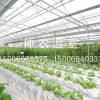 江蘇連棟溫室價格 哪里有提供口碑好的連棟溫室