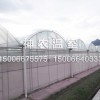 溫室大棚建造制造商，威海育苗溫室價(jià)格