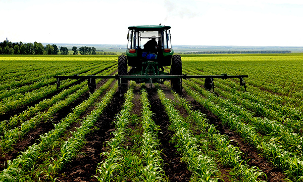 除了立論依據(jù)有問題外，業(yè)內(nèi)人士還對澎湃新聞（www.thepaper.cn）表示，《黑龍江省食品安全條例》新增的關(guān)于轉(zhuǎn)基因的內(nèi)容表述以及立法權(quán)限都有問題。 視覺中國 資料