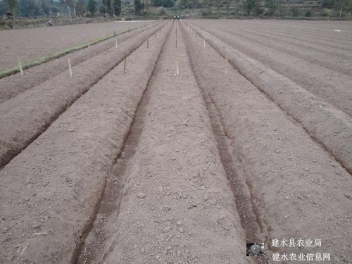 圖片其版權(quán)均歸原作者所有，未經(jīng)許可嚴(yán)禁轉(zhuǎn)載或建立鏡像，如需轉(zhuǎn)載，請與作者或本站聯(lián)系