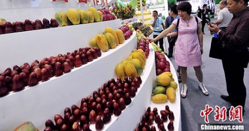 資料圖。劉可耕 攝