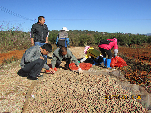 圖片其版權(quán)均歸原作者所有，未經(jīng)許可嚴(yán)禁轉(zhuǎn)載或建立鏡像，如需轉(zhuǎn)載，請與作者或本站聯(lián)系