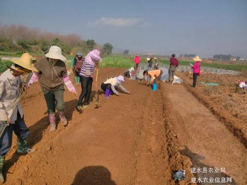 圖片其版權(quán)均歸原作者所有，未經(jīng)許可嚴(yán)禁轉(zhuǎn)載或建立鏡像，如需轉(zhuǎn)載，請與作者或本站聯(lián)系