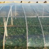 知名廠家為您推薦精良的大棚膜 塑料薄膜哪家好