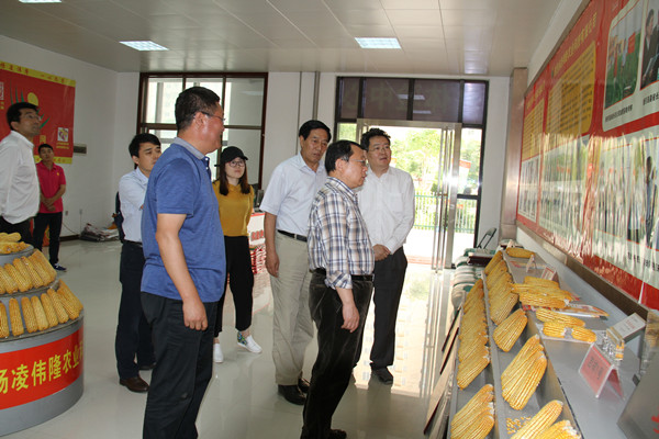 農(nóng)業(yè)部調(diào)研督導組在西北農(nóng)大召開座談會