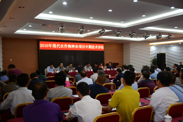 中期技術(shù)評估現(xiàn)場