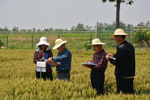 考察專家會商品種表現(xiàn)