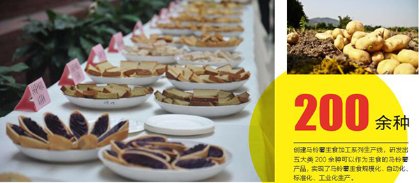 我國(guó)馬鈴薯加工關(guān)鍵技術(shù)世界領(lǐng)先