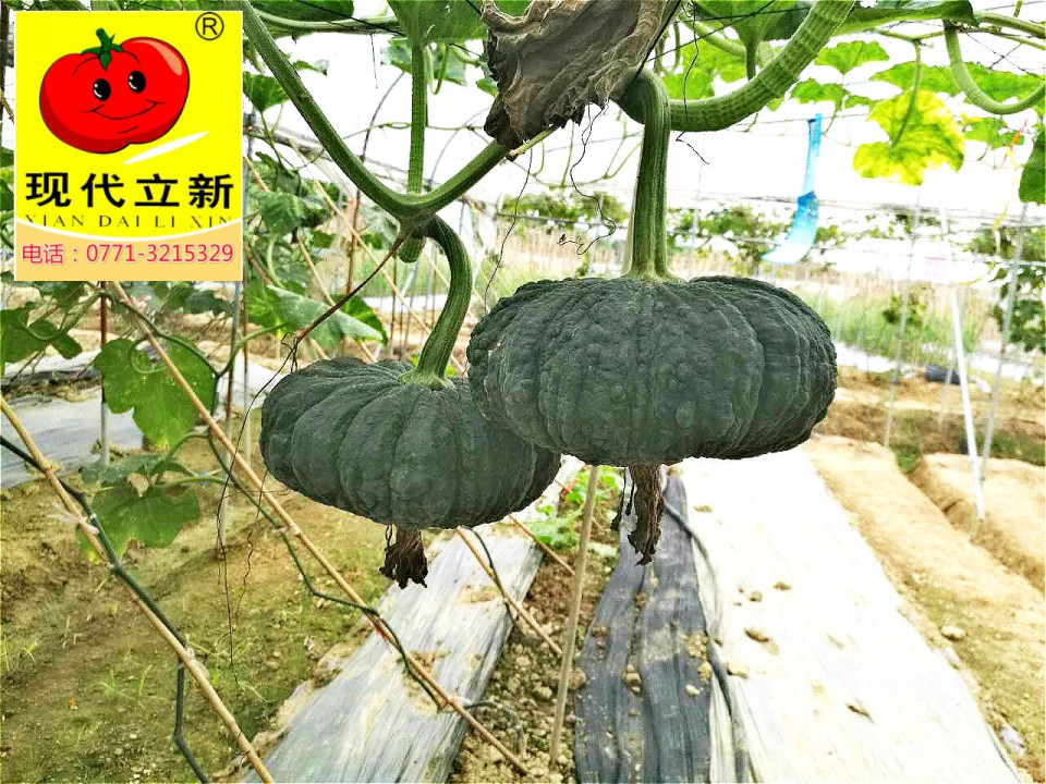 立新掌中寶_meitu_1